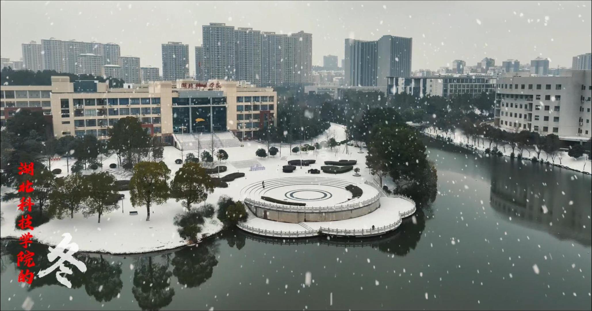 点击播放视频